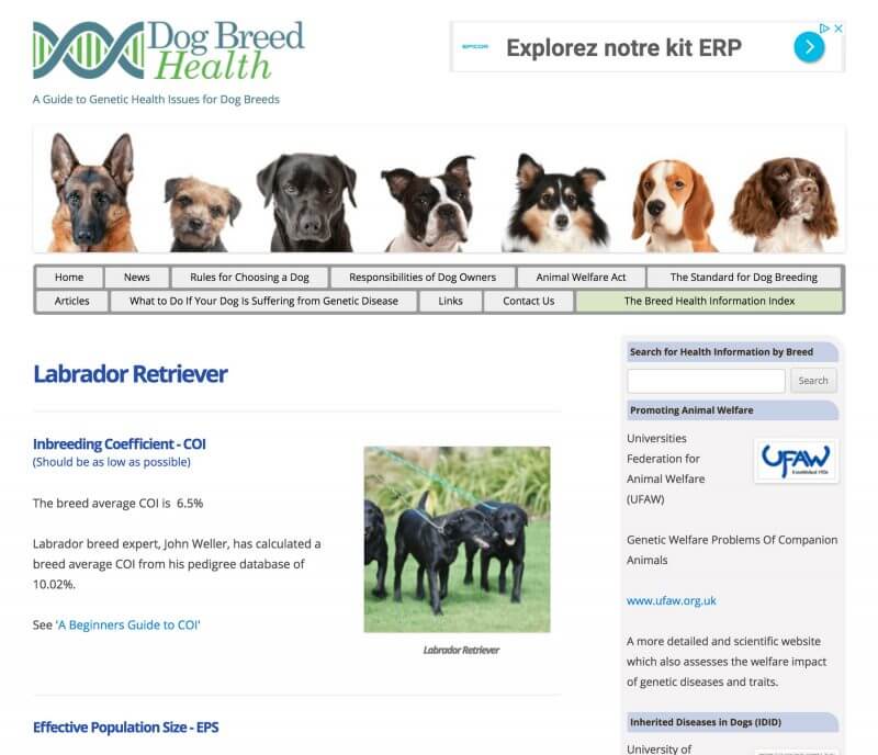The Dog Breed Health website.