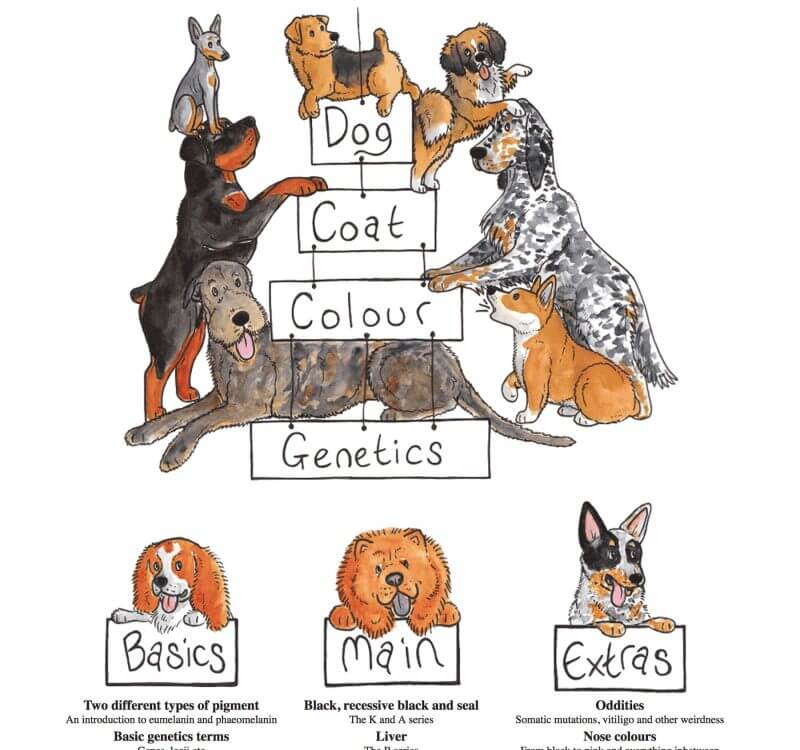 The Dog Genetics website.
