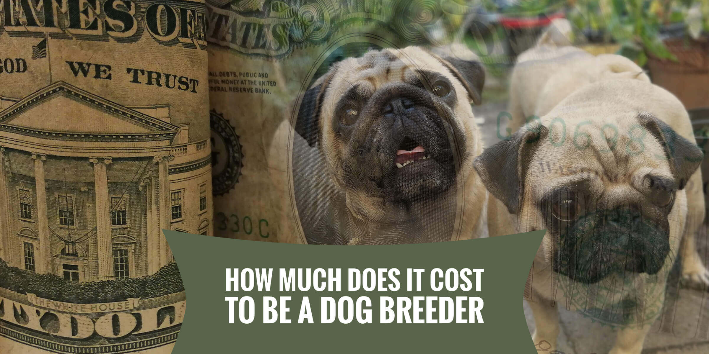 annual cost of dog food