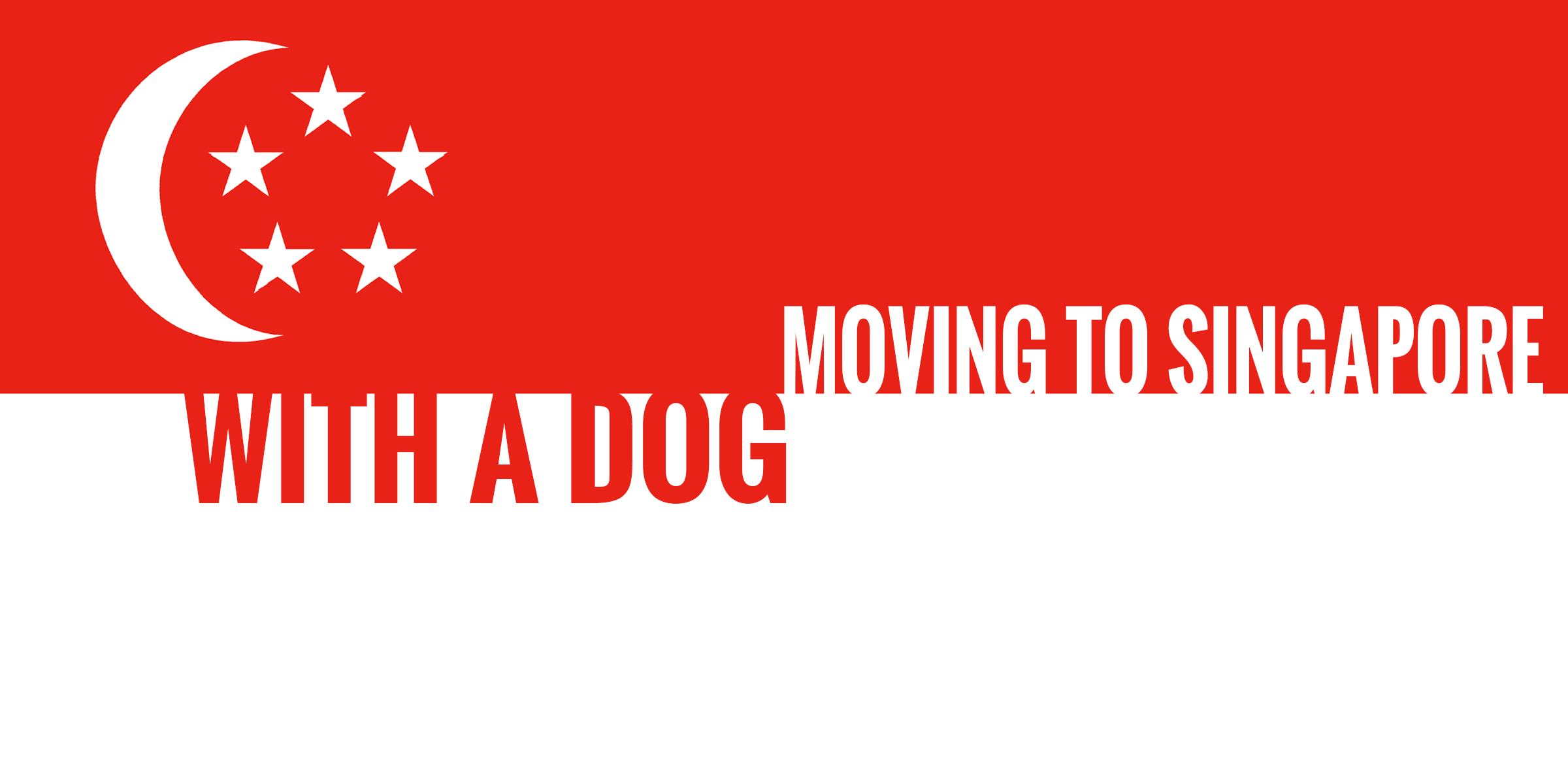 How To Move To Singapore With Your Dog — Breeding Business