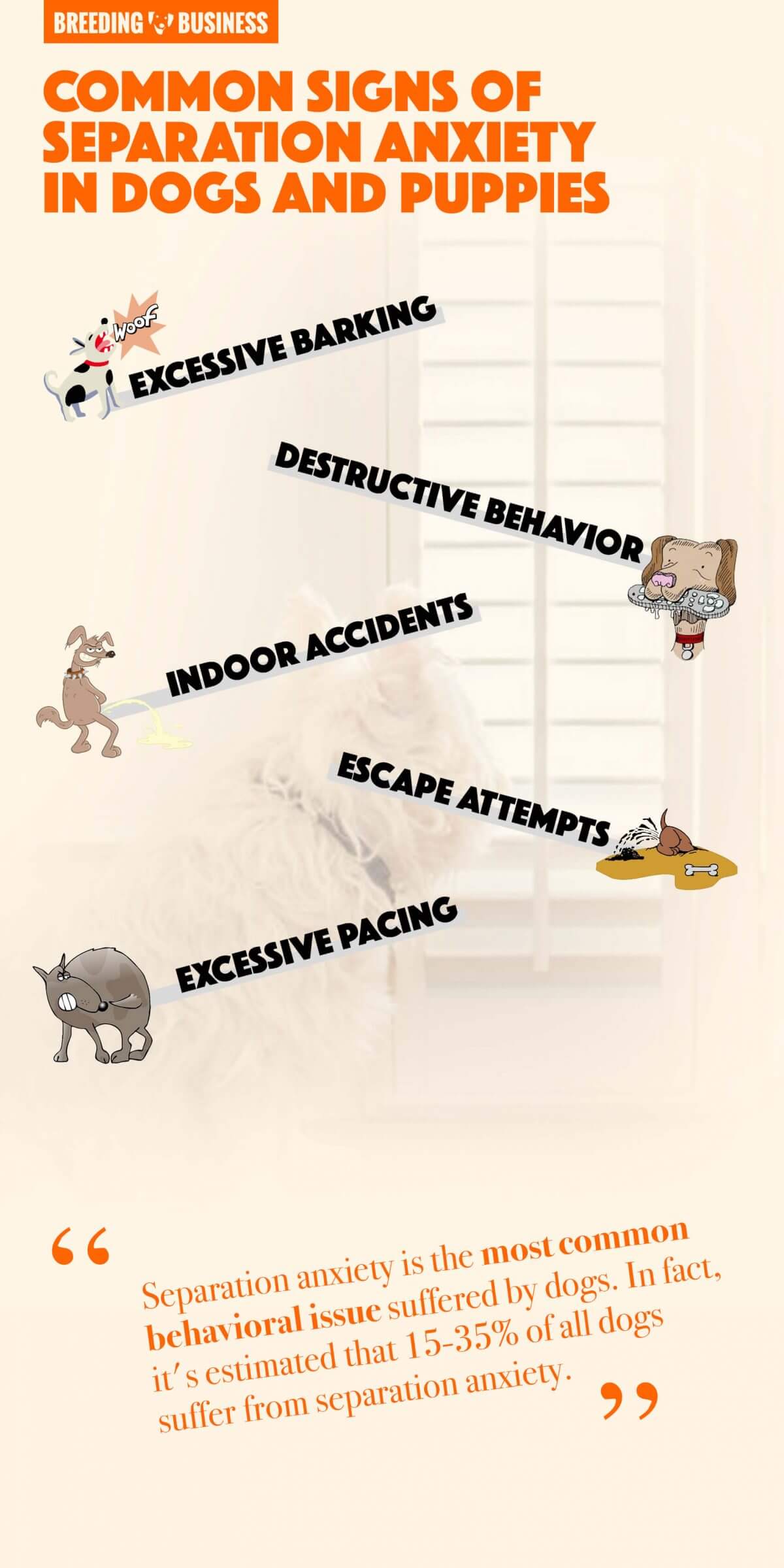 signs of separation anxiety in dogs and puppies (infographic)