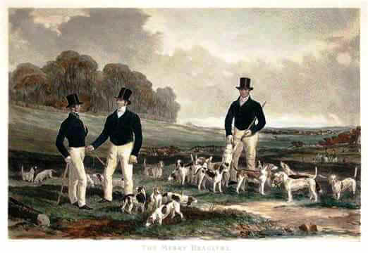beagles of reverend phillip honeywood