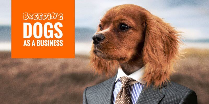 professional dog breeders near me