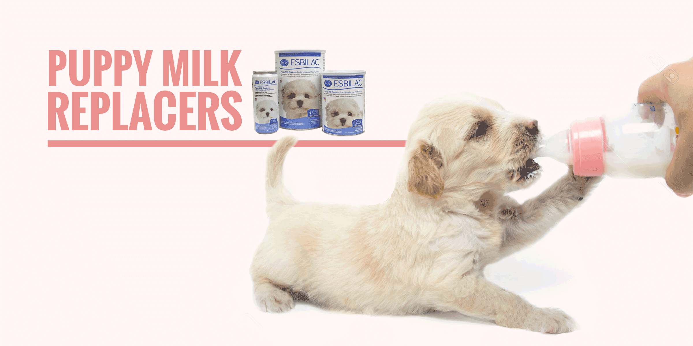 newborn puppy milk formula