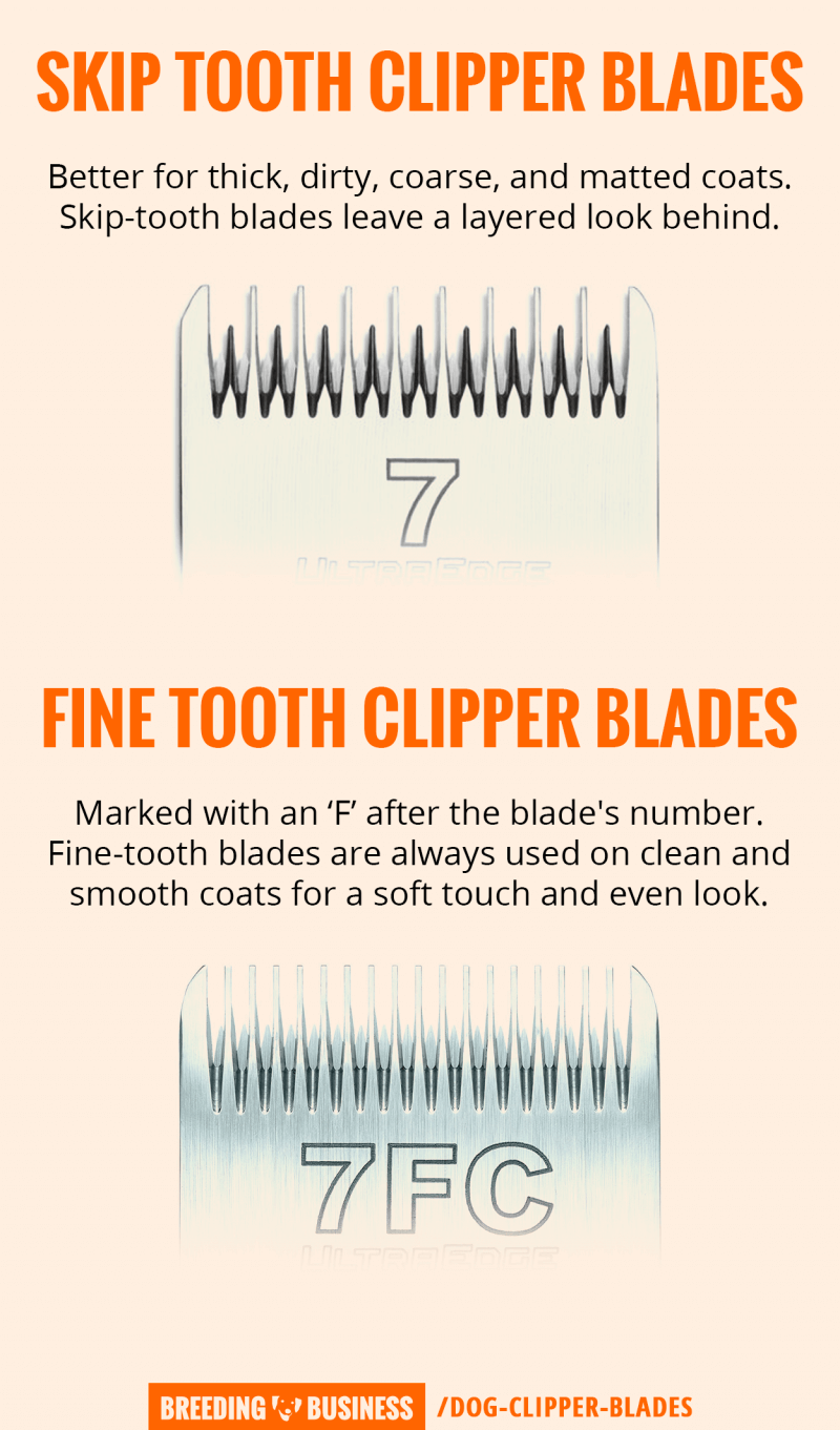 dog clipper blades explained