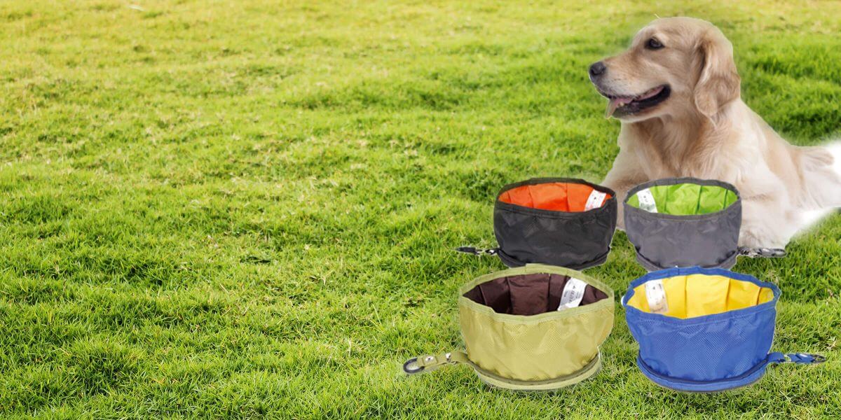 large collapsible dog bowl