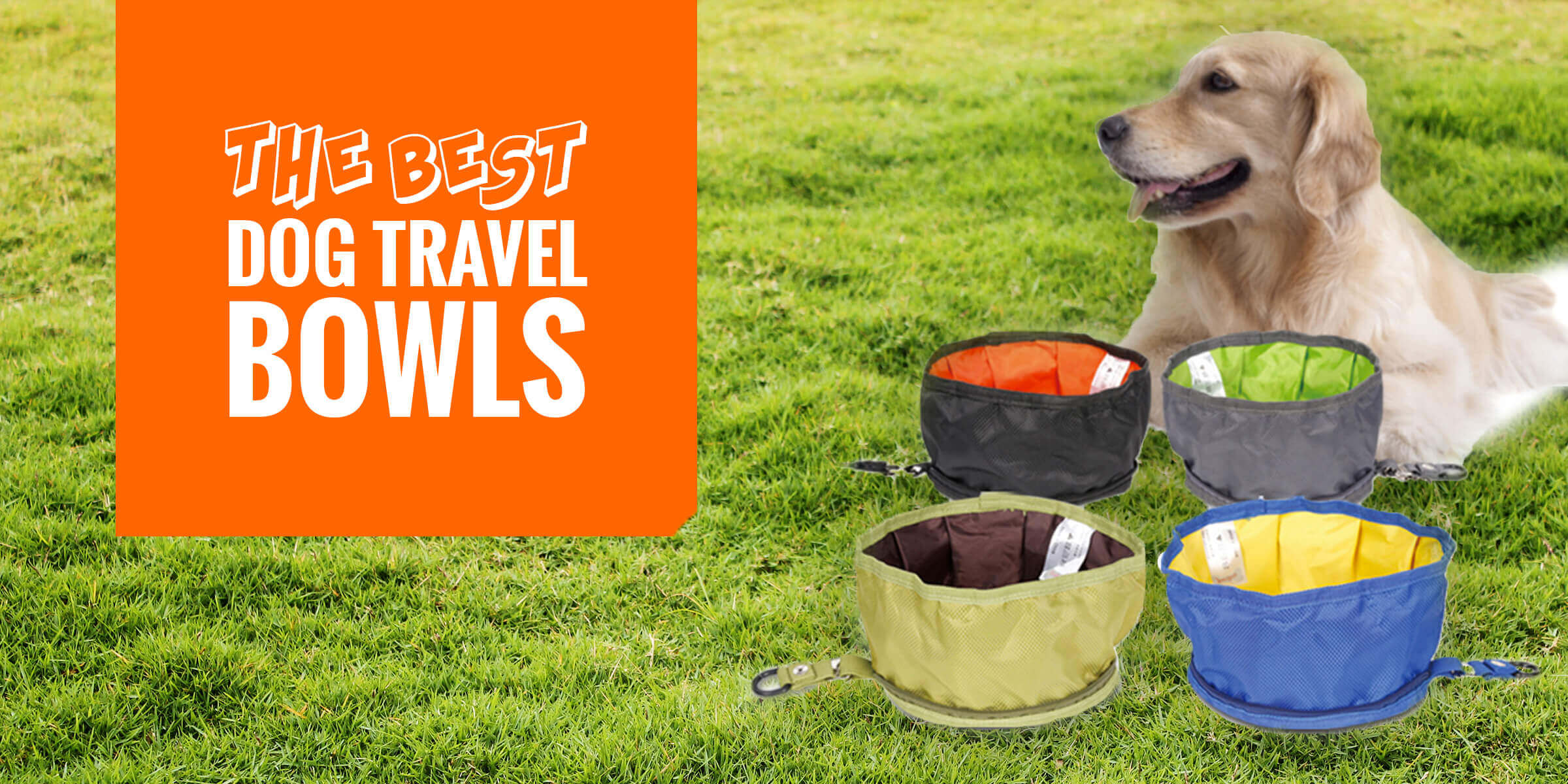 packable dog bowl