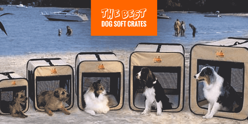 elitefield dog crate size chart