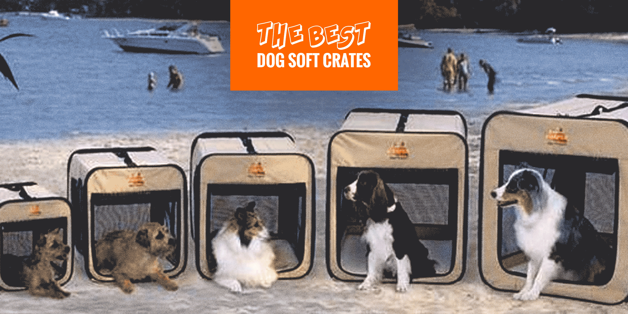 best soft sided dog crate