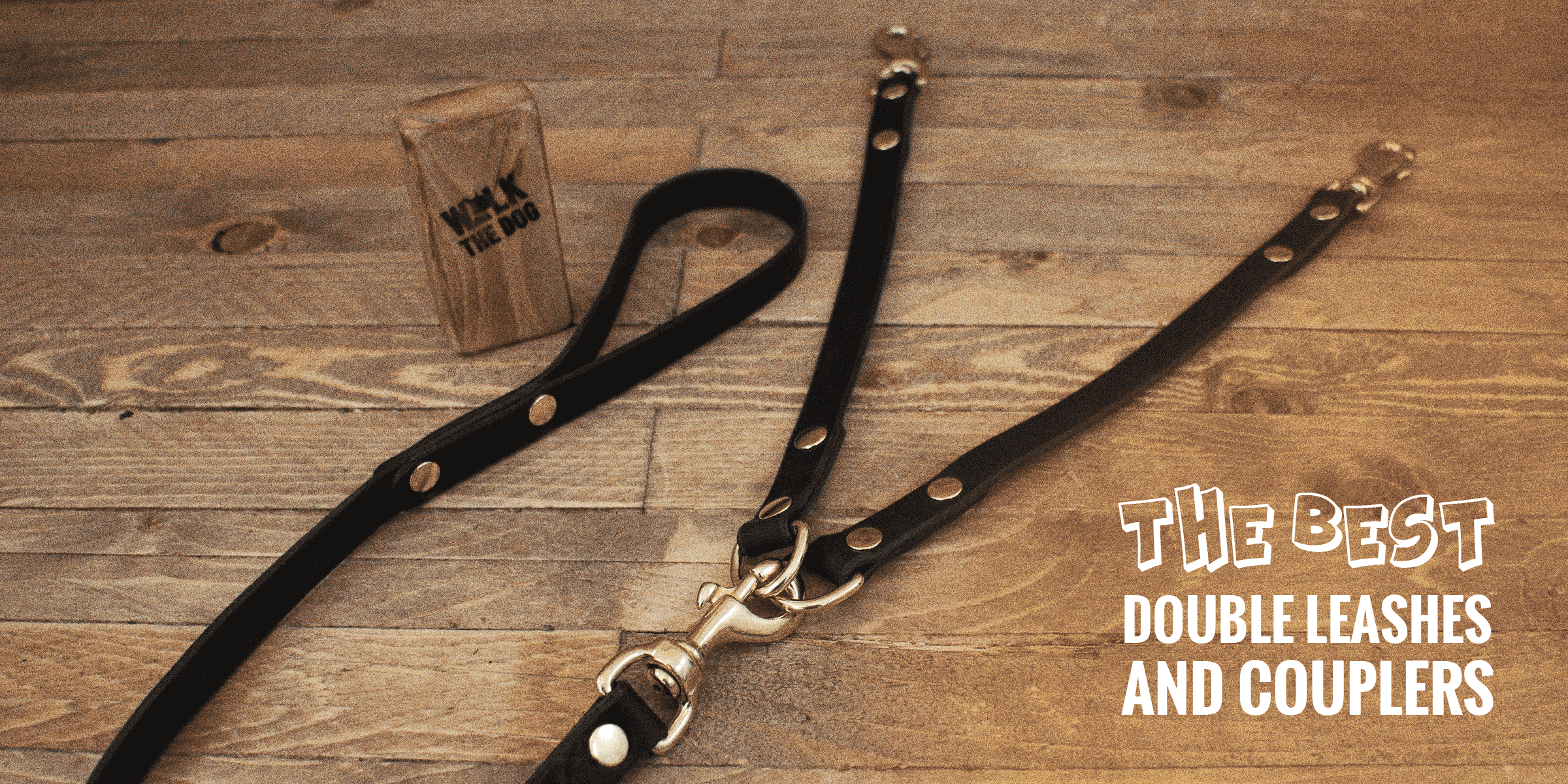 6 Best Double Dog Leashes and Couplers 