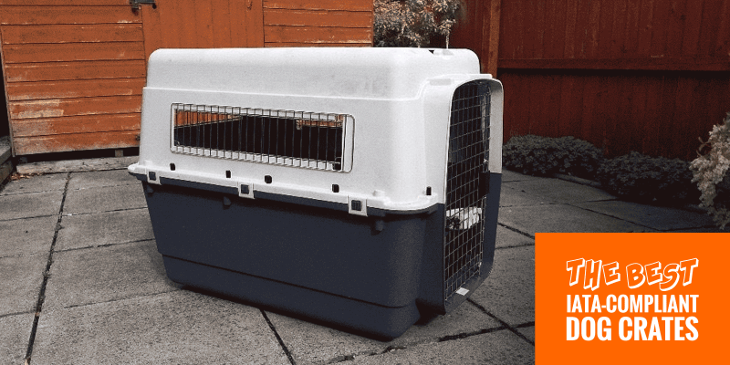 5 Best IATA-Compliant Dog Crates for 