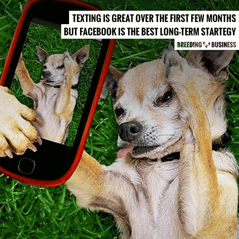 dog breeders on facebook