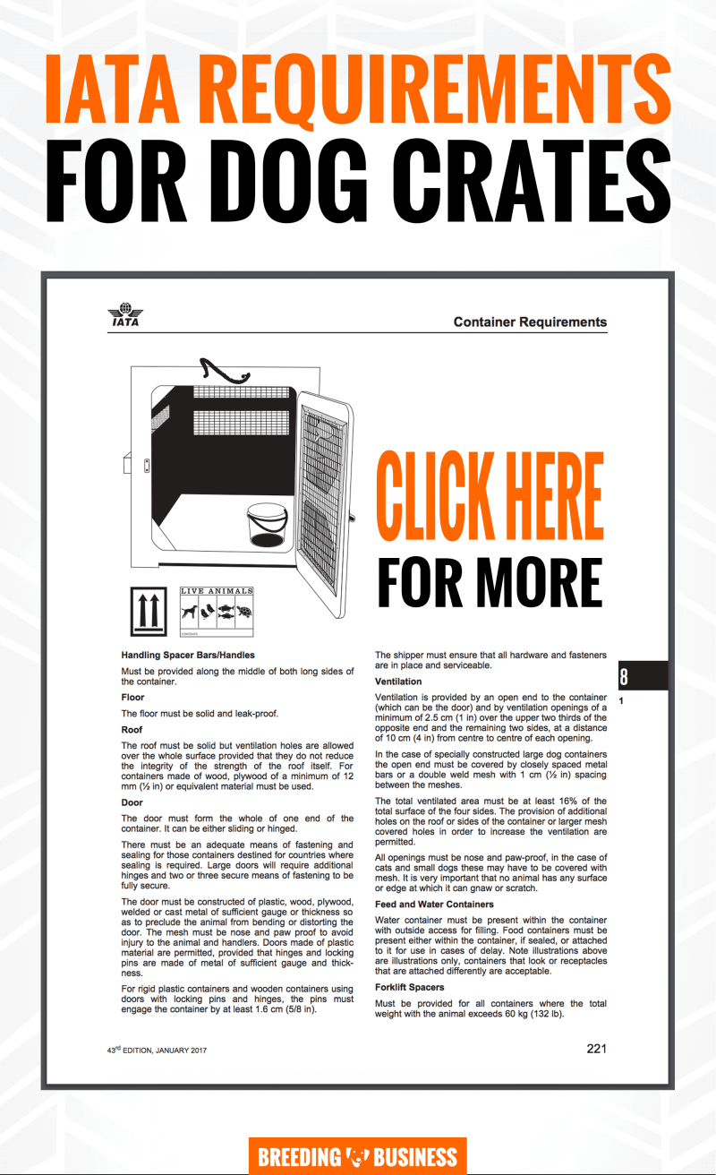 Iata dog sale crate requirements