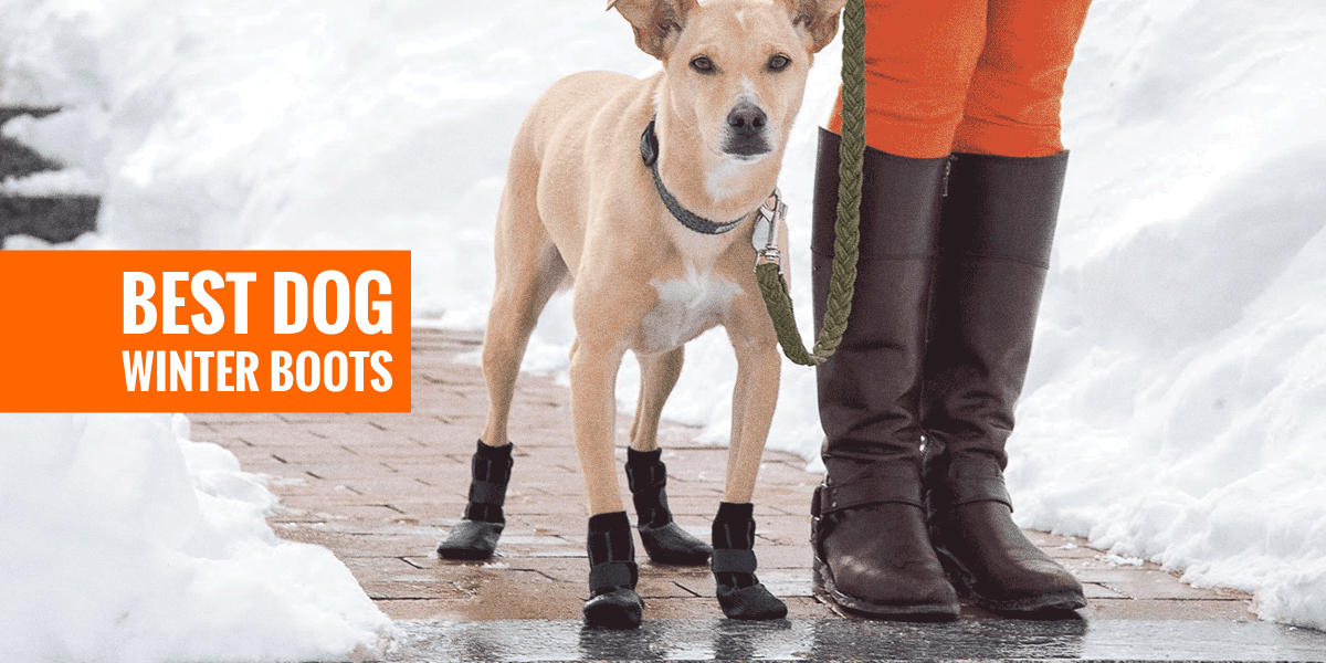 puppy snow boots