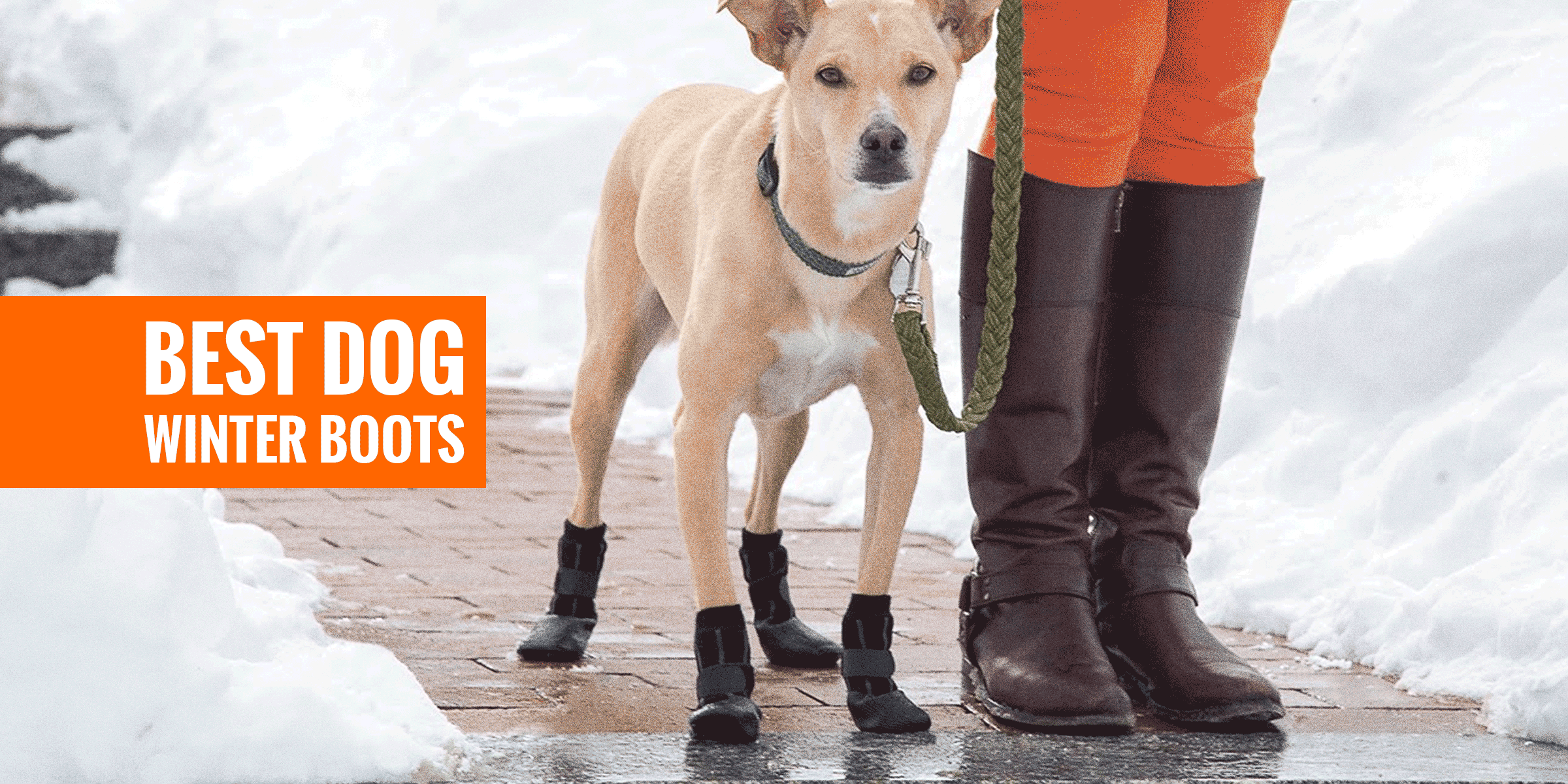 best winter dog walking boots