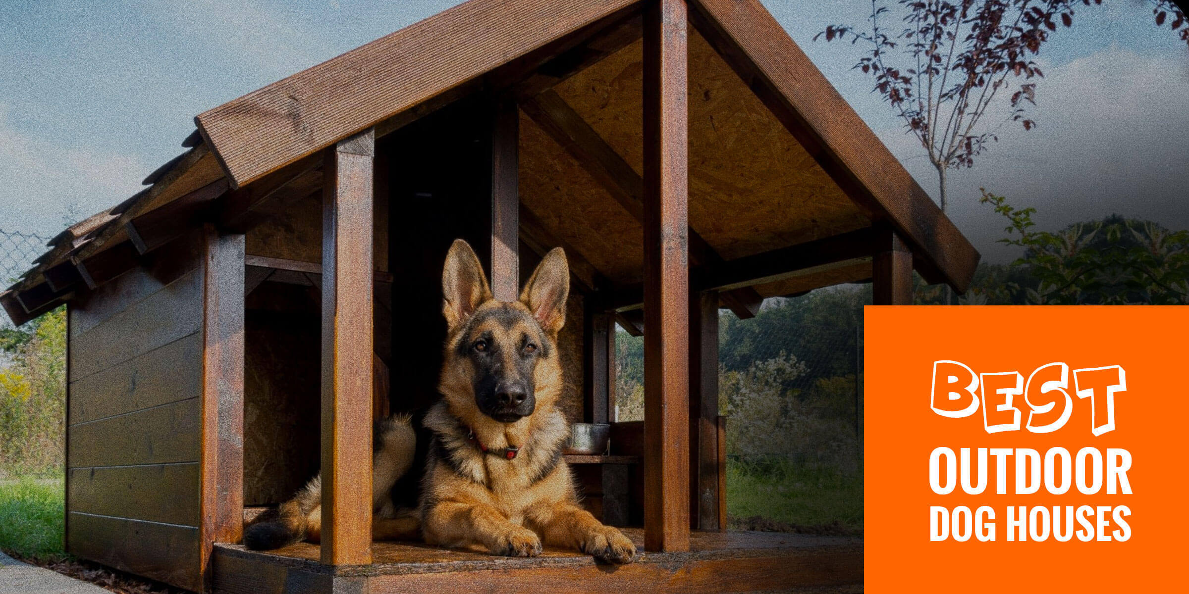 best dog house