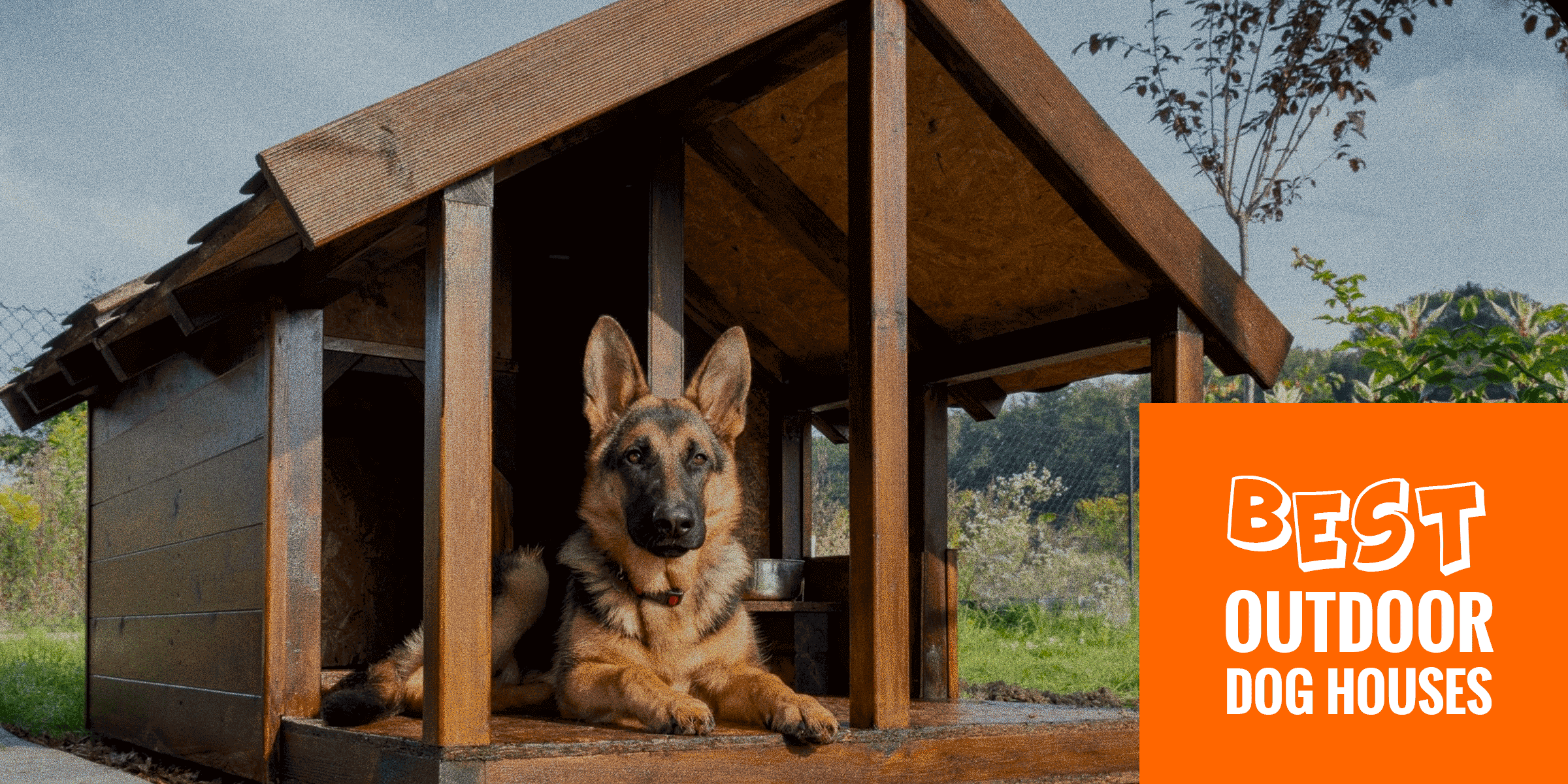 Top 6 Best Outdoor Dog Houses — Wired 