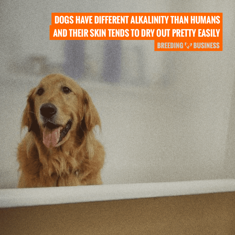 dog skin ph level