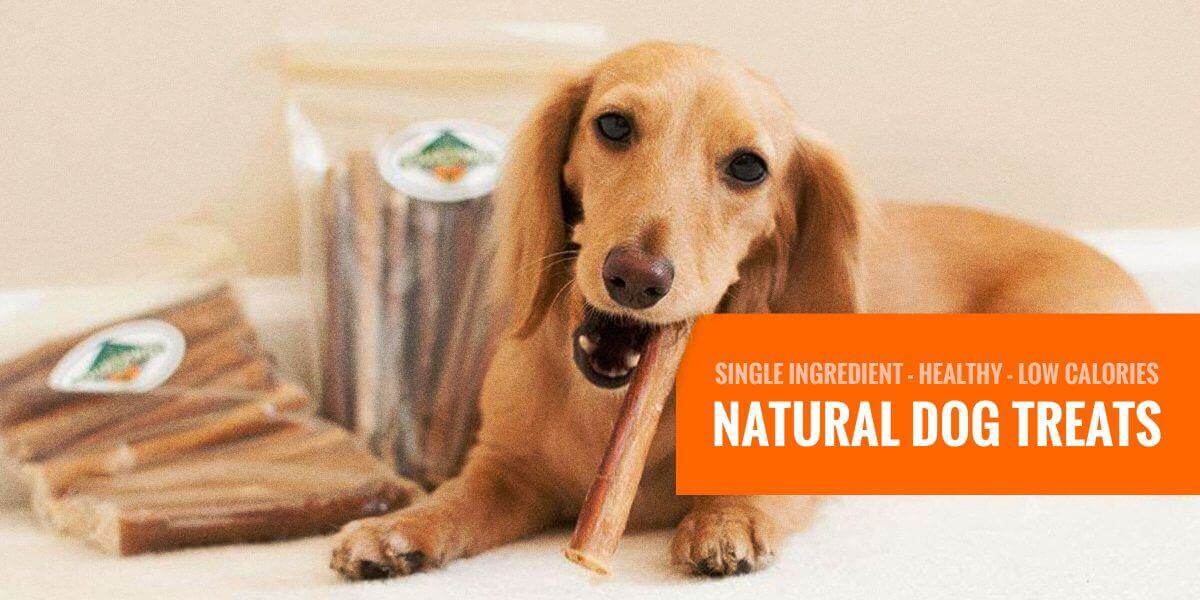 best organic dog treats