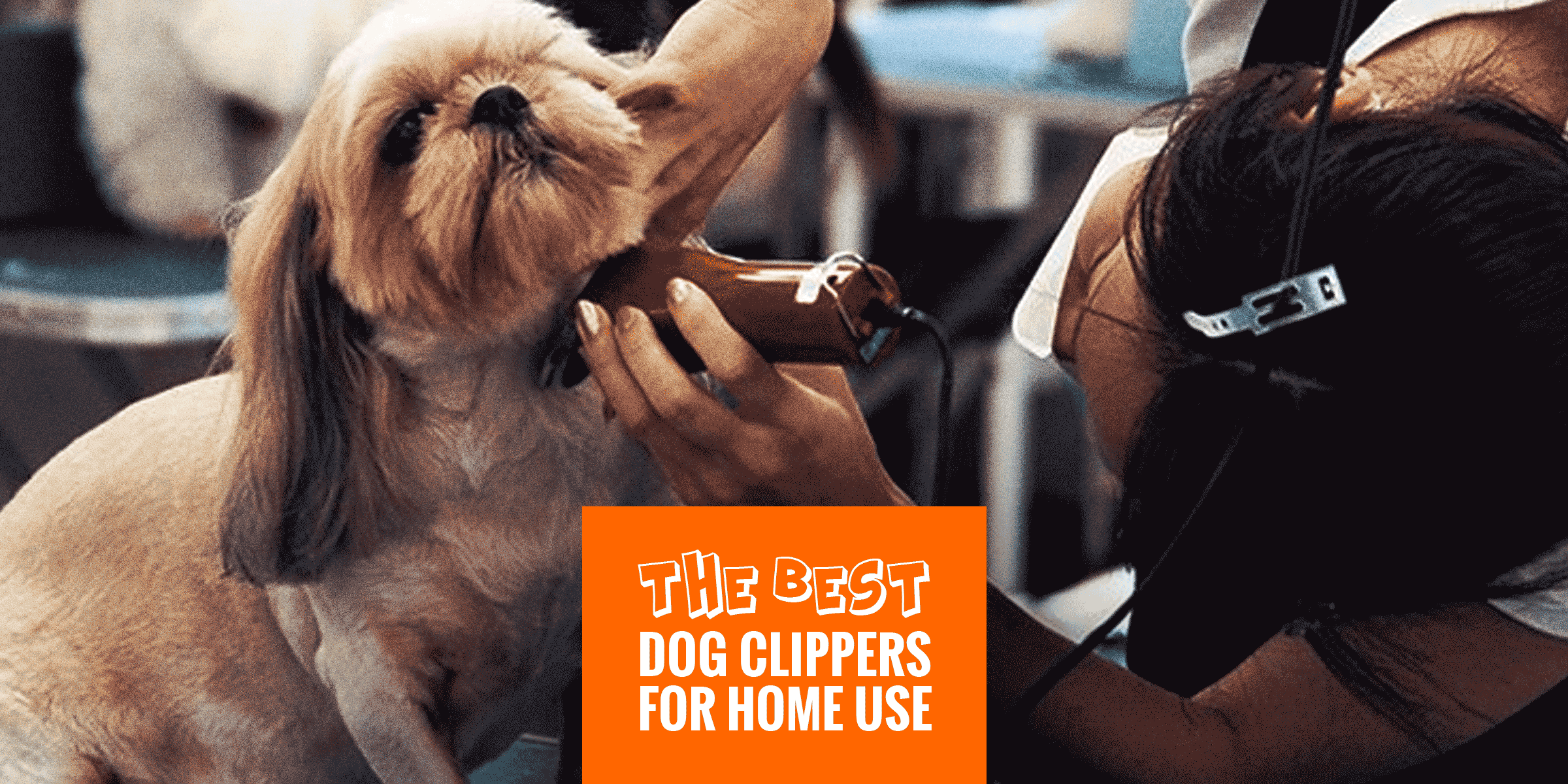 best hair clippers for dog grooming