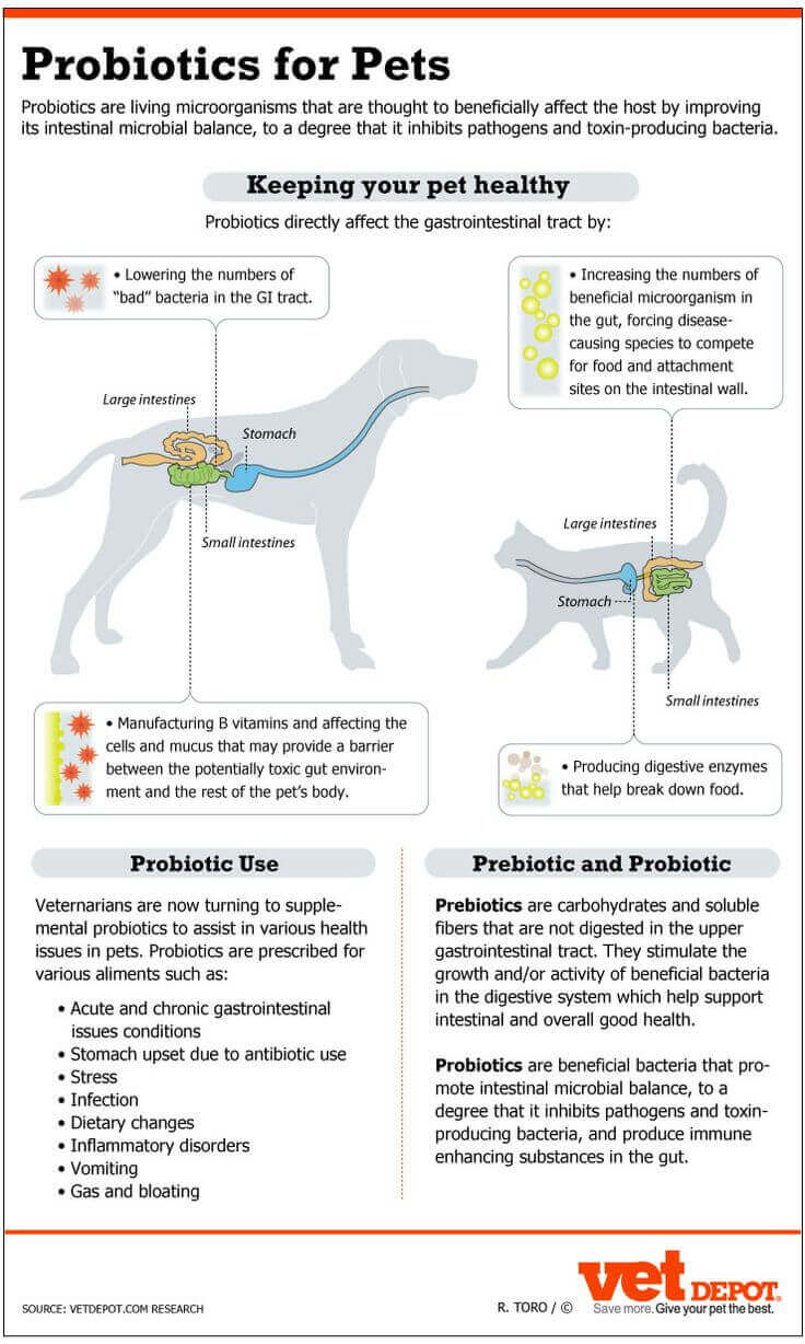 human probiotics safe for dogs