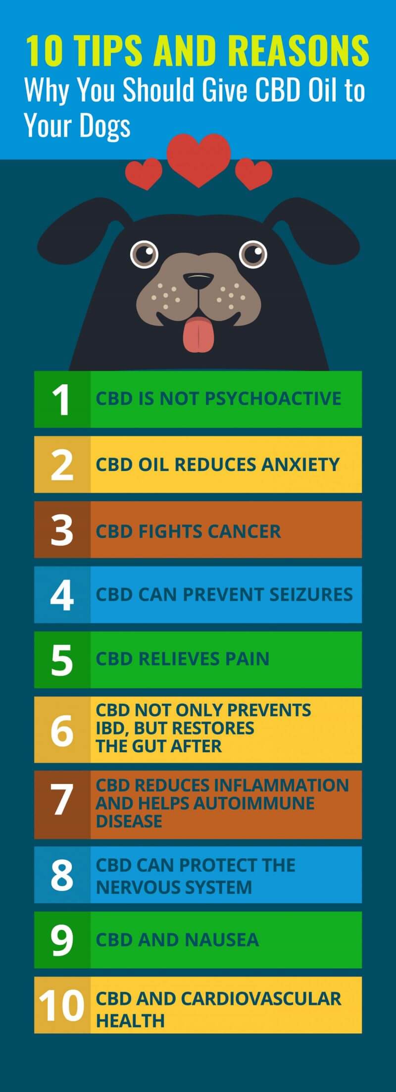 Facts About CBD Oil for Dogs