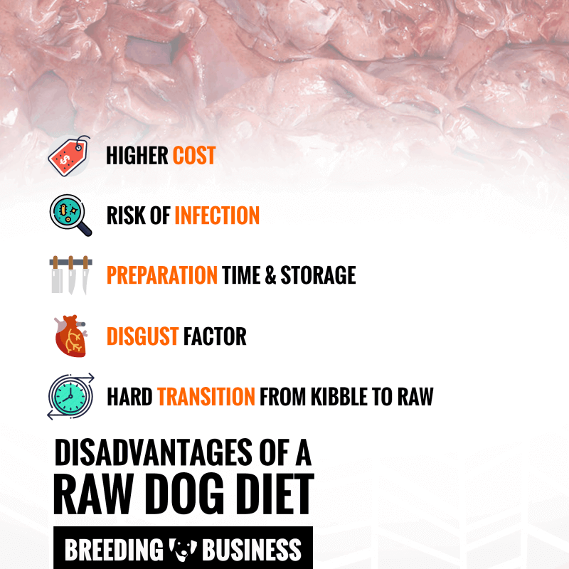 disadvantages of a dog raw diet