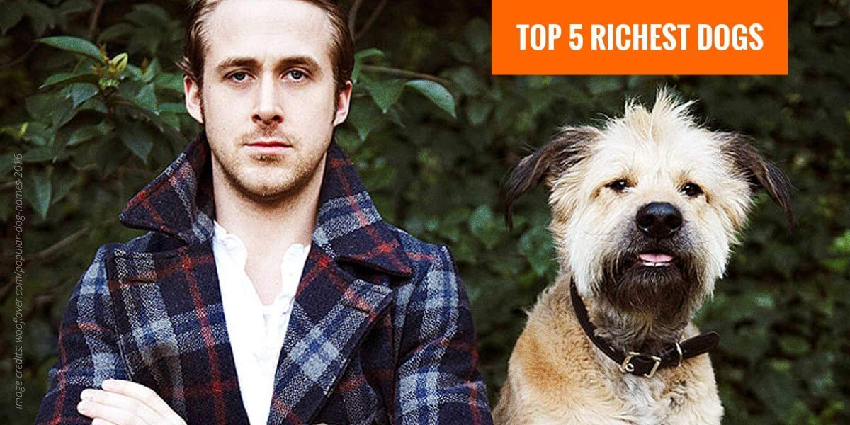 Top 5 Richest Dogs in The World in 2018 