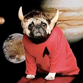 Rodenberry's rich dogs