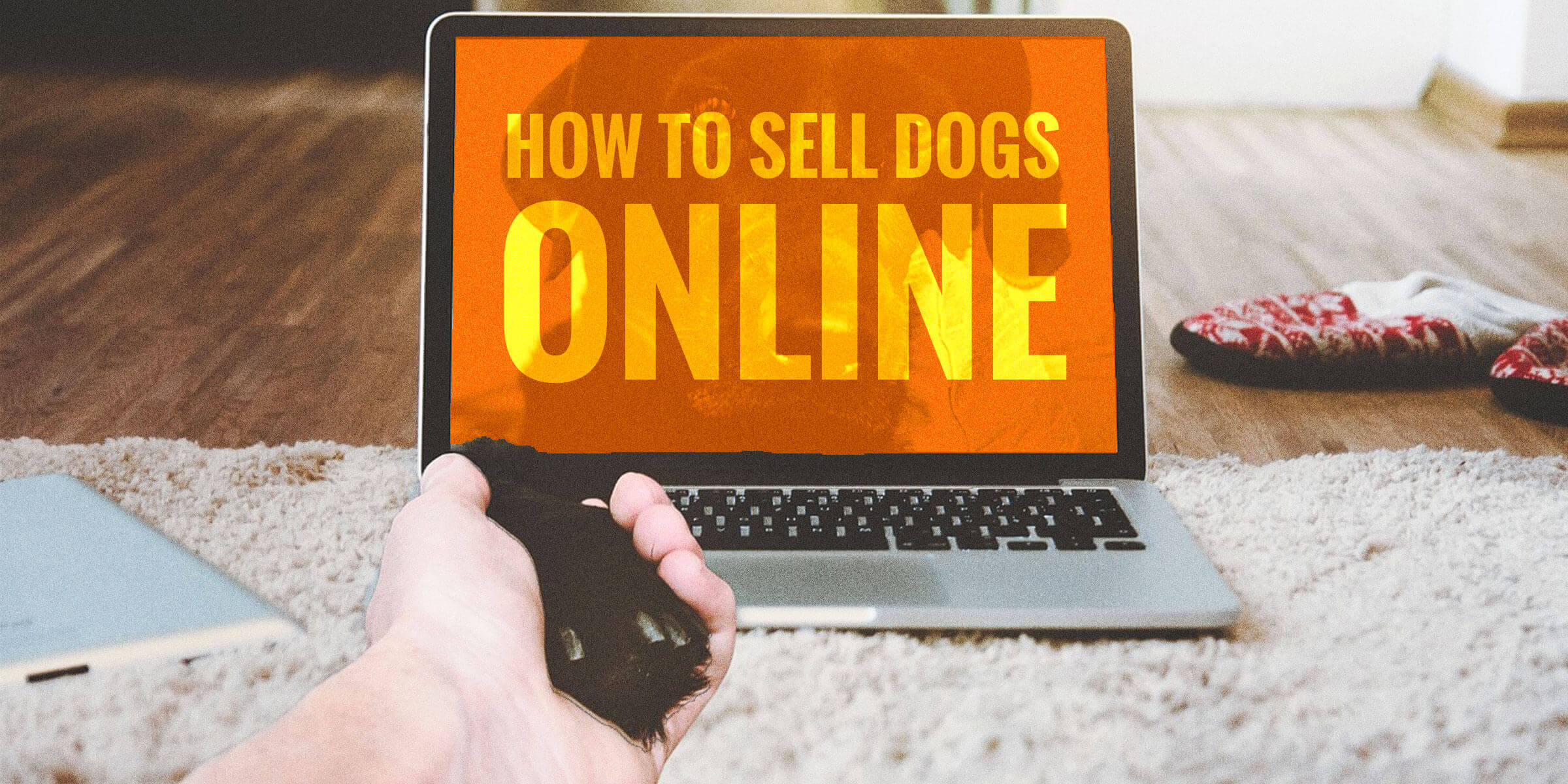 places to sell dogs