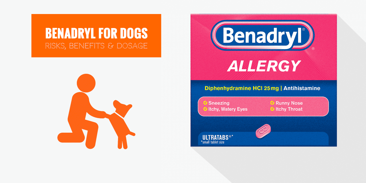 how many benadryl tablets can i give my dog