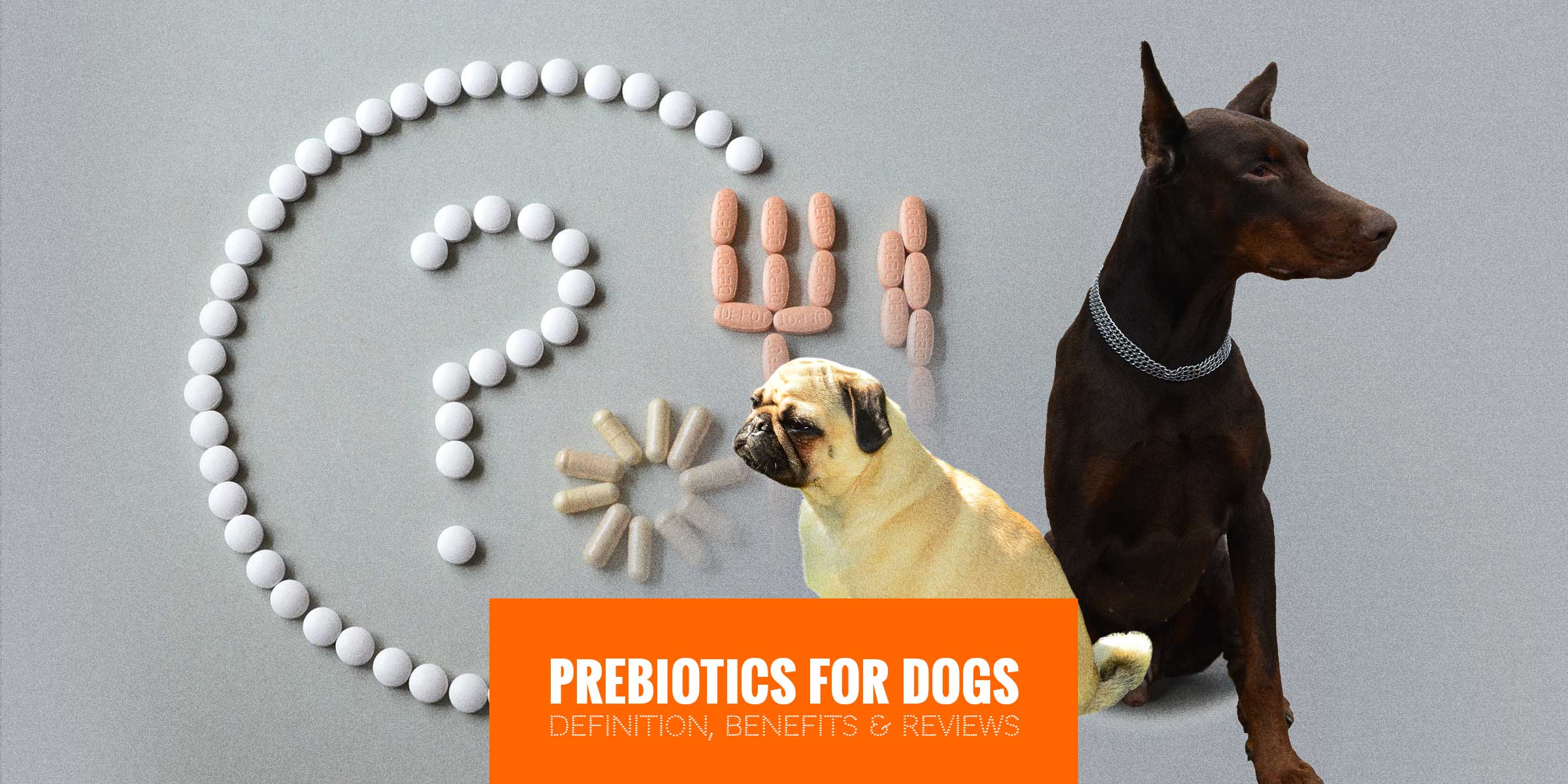 best pro and prebiotics for dogs