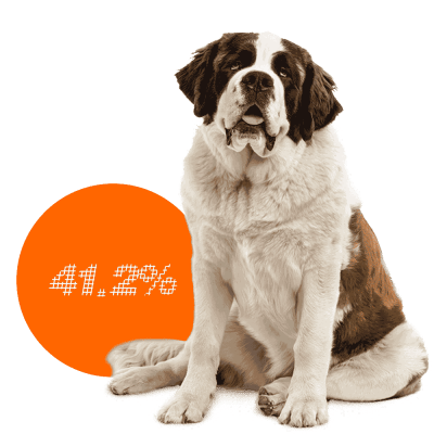 St. Bernard c-sections