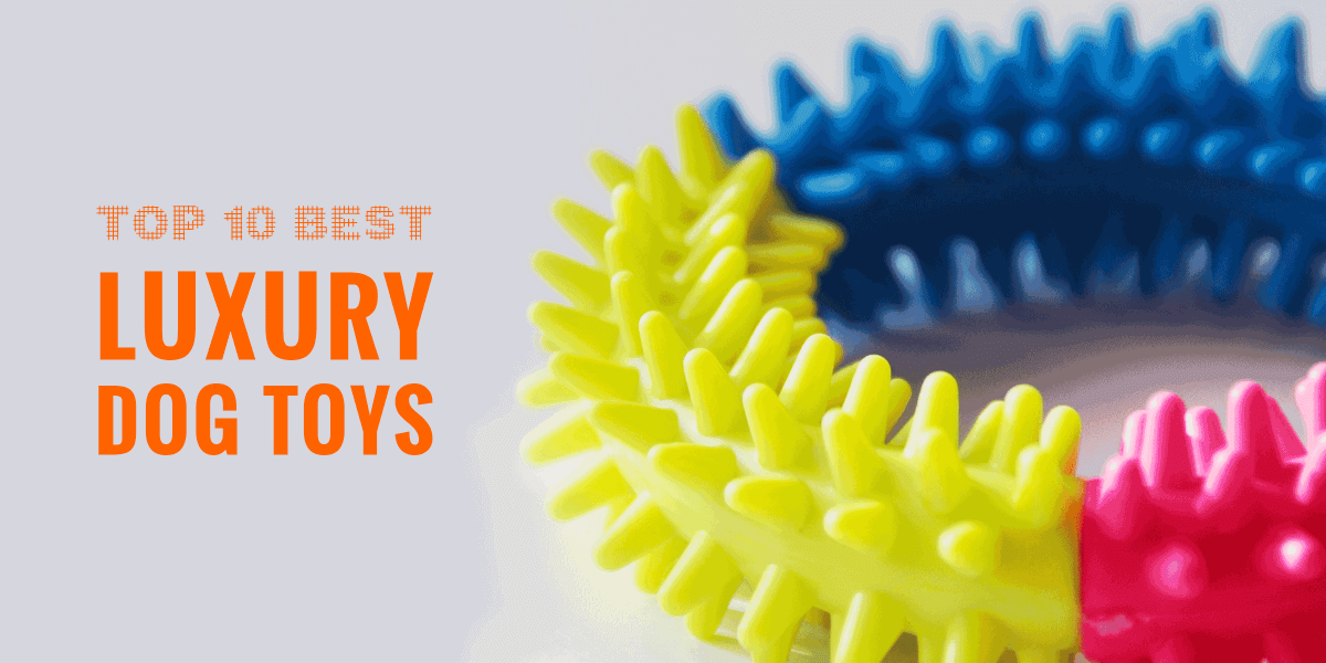 top 10 dog toys