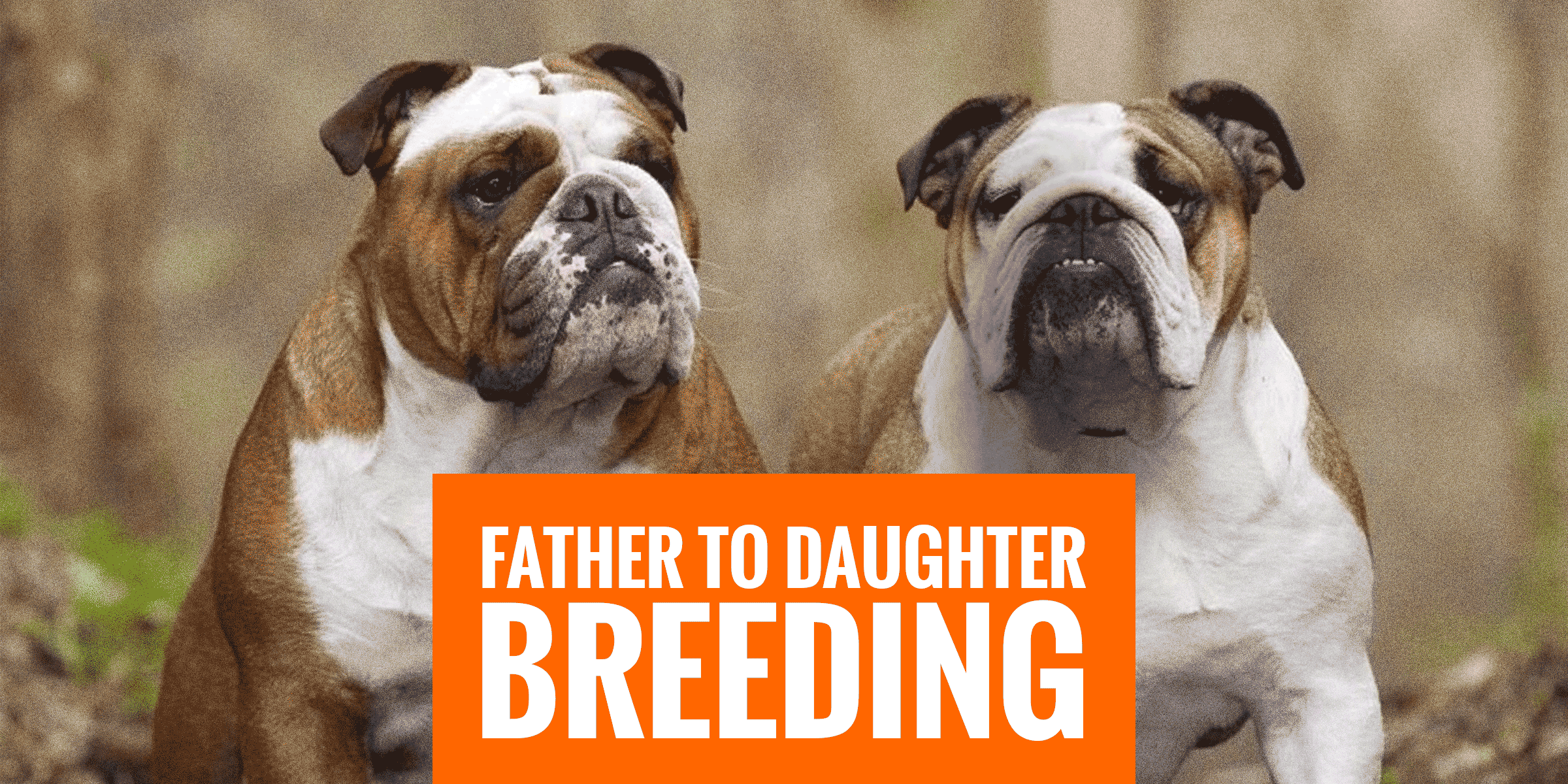 father daughter dog breeding