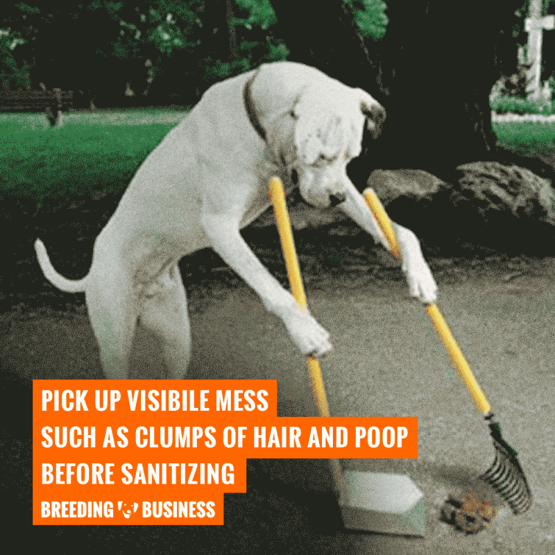 dirty kennel cleaning