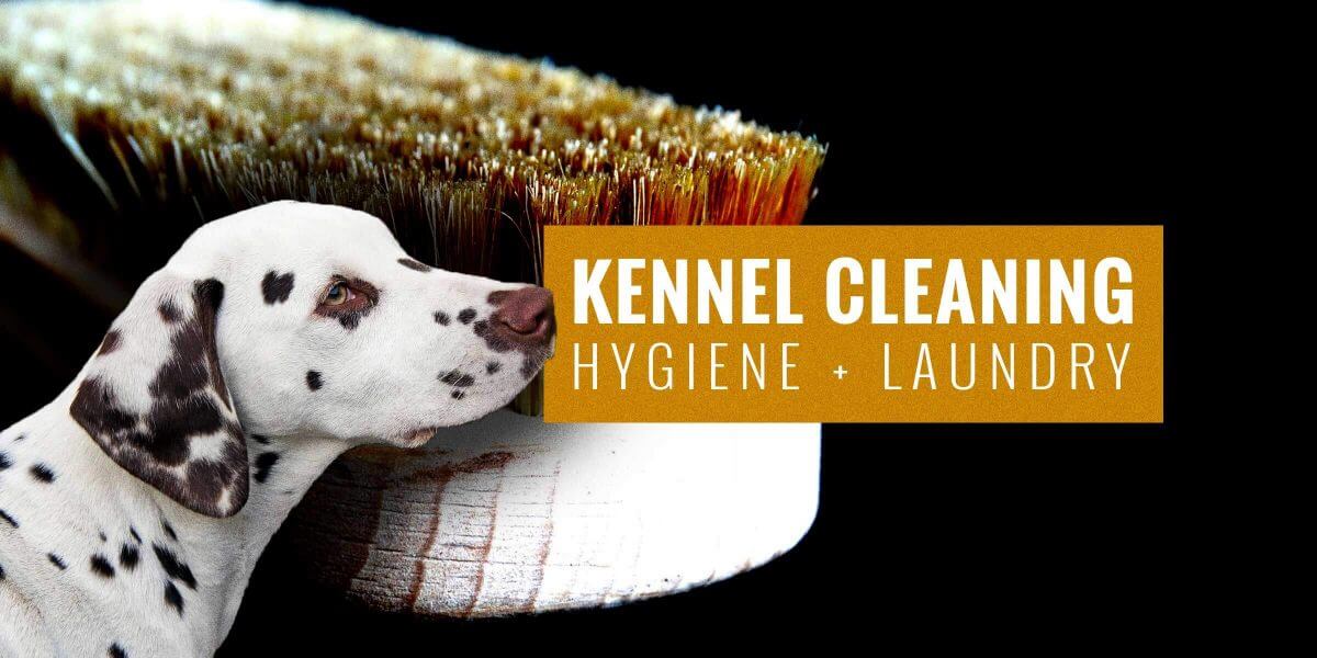 kennel clean