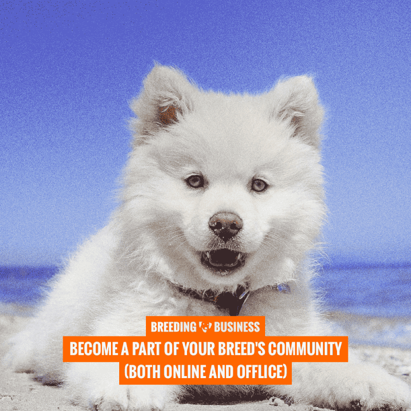 money in dog breeding