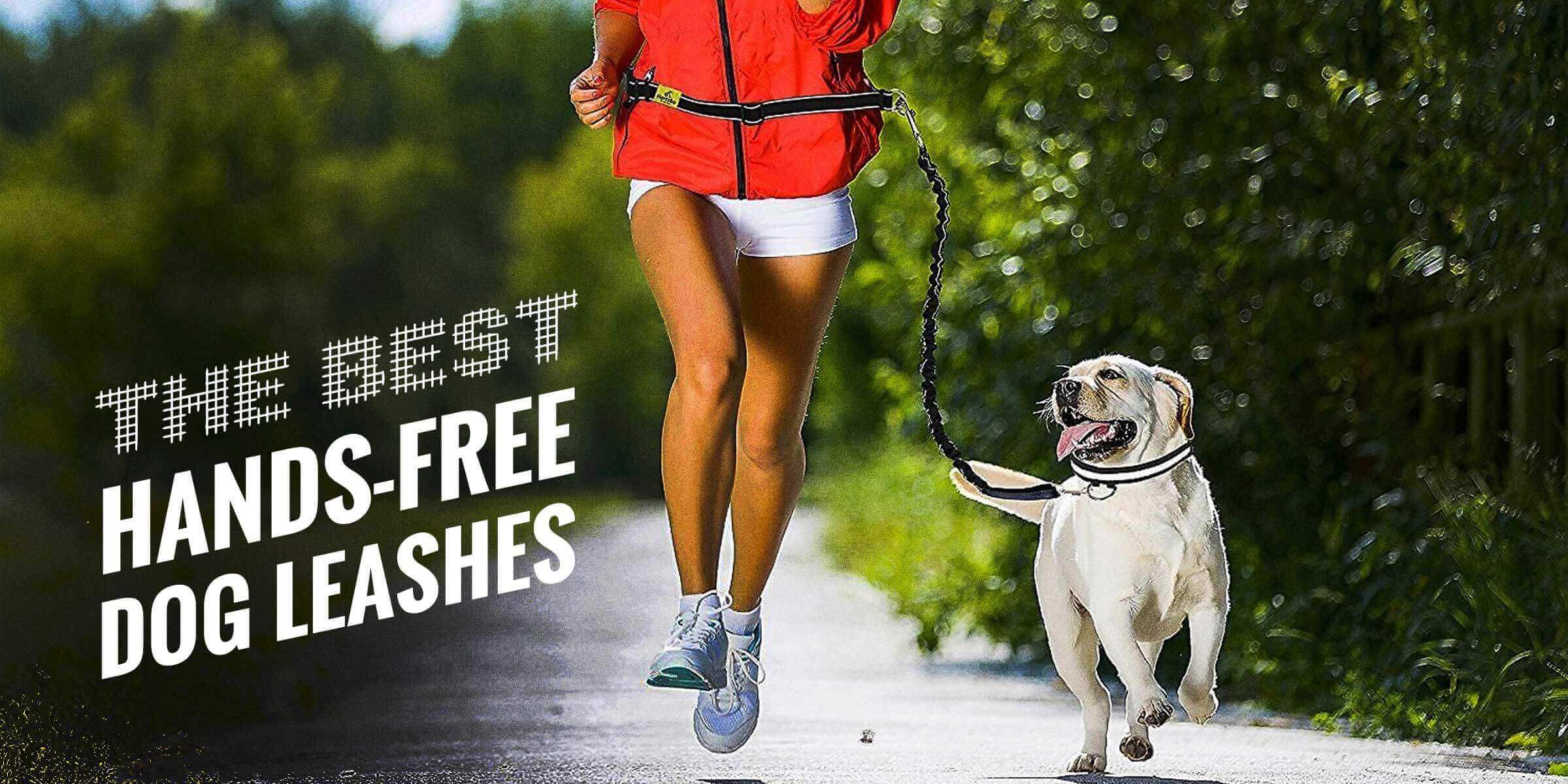 Top 5 Best Hands-Free Leashes for Dogs 