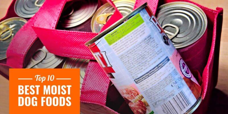 moist dog food brands
