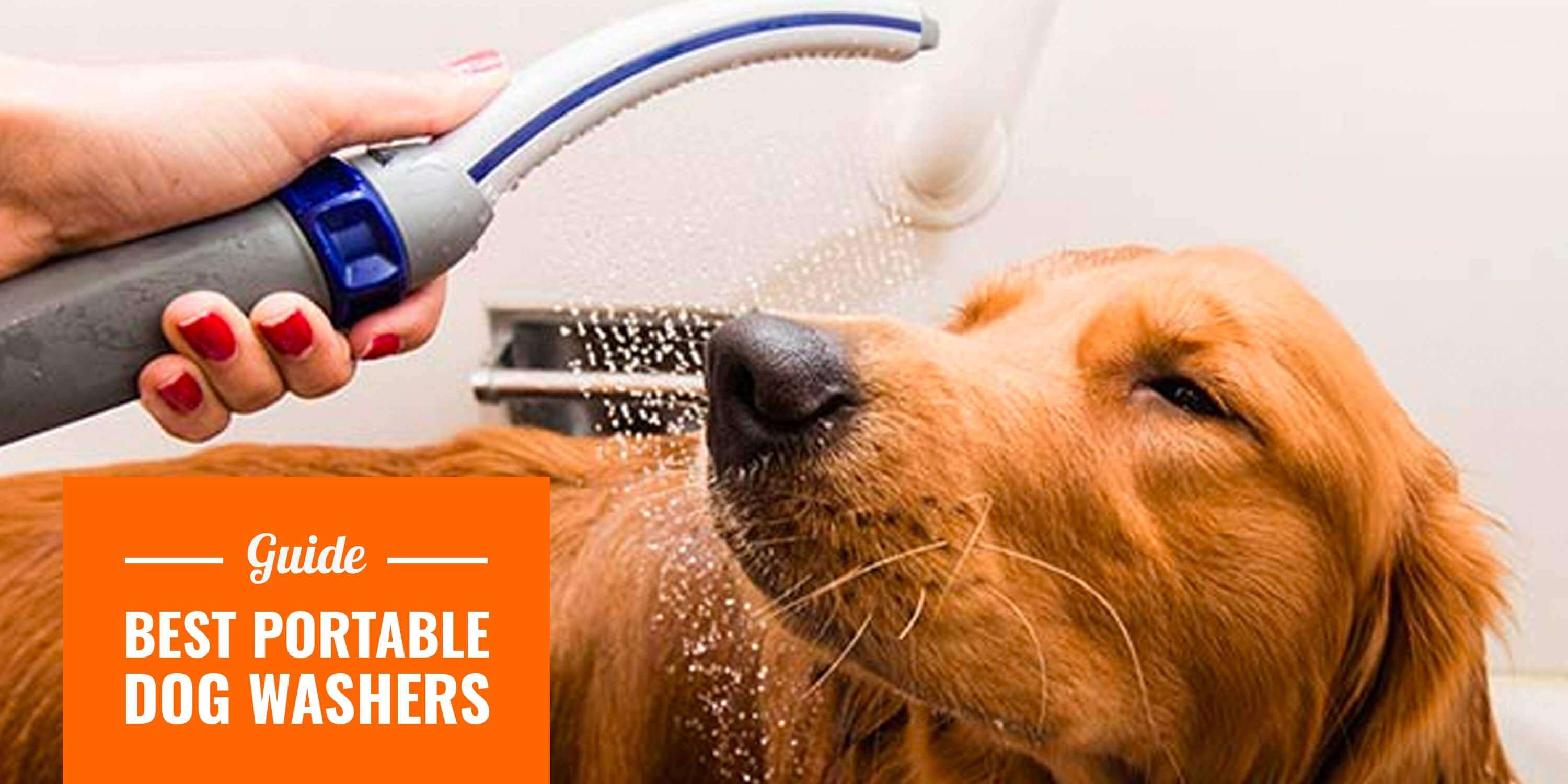 Top 5 Best Portable Dog Washers 