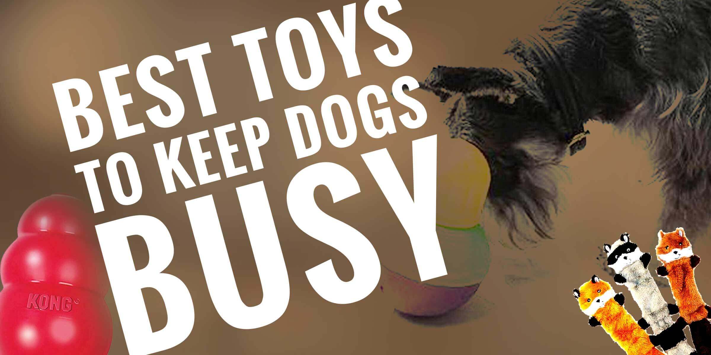 10 Best Toys to Keep Dogs Busy — 2020 
