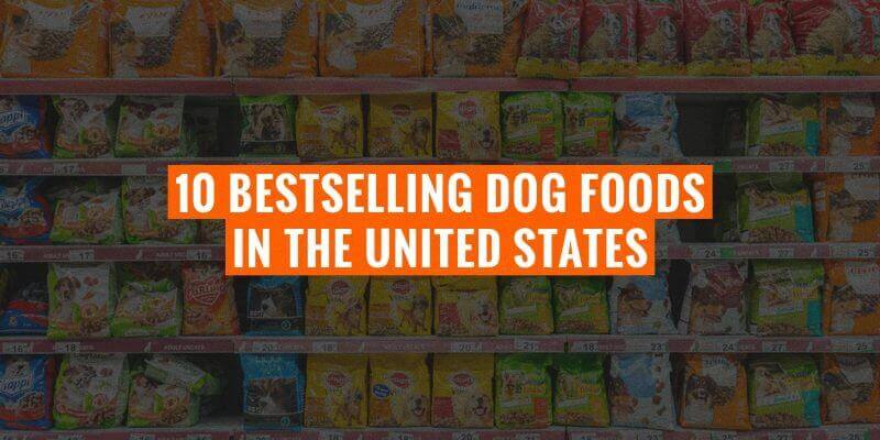 most popular dog foods