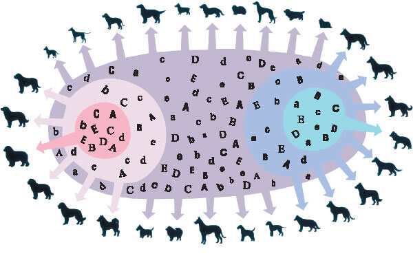 example of closed and open gene pools