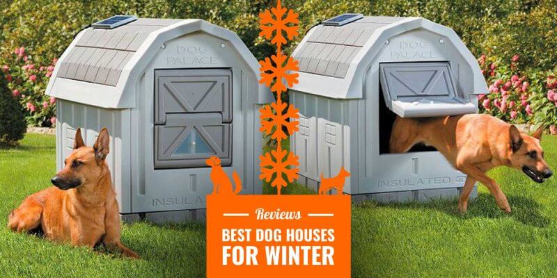 10 Best Dog Houses for Winter 