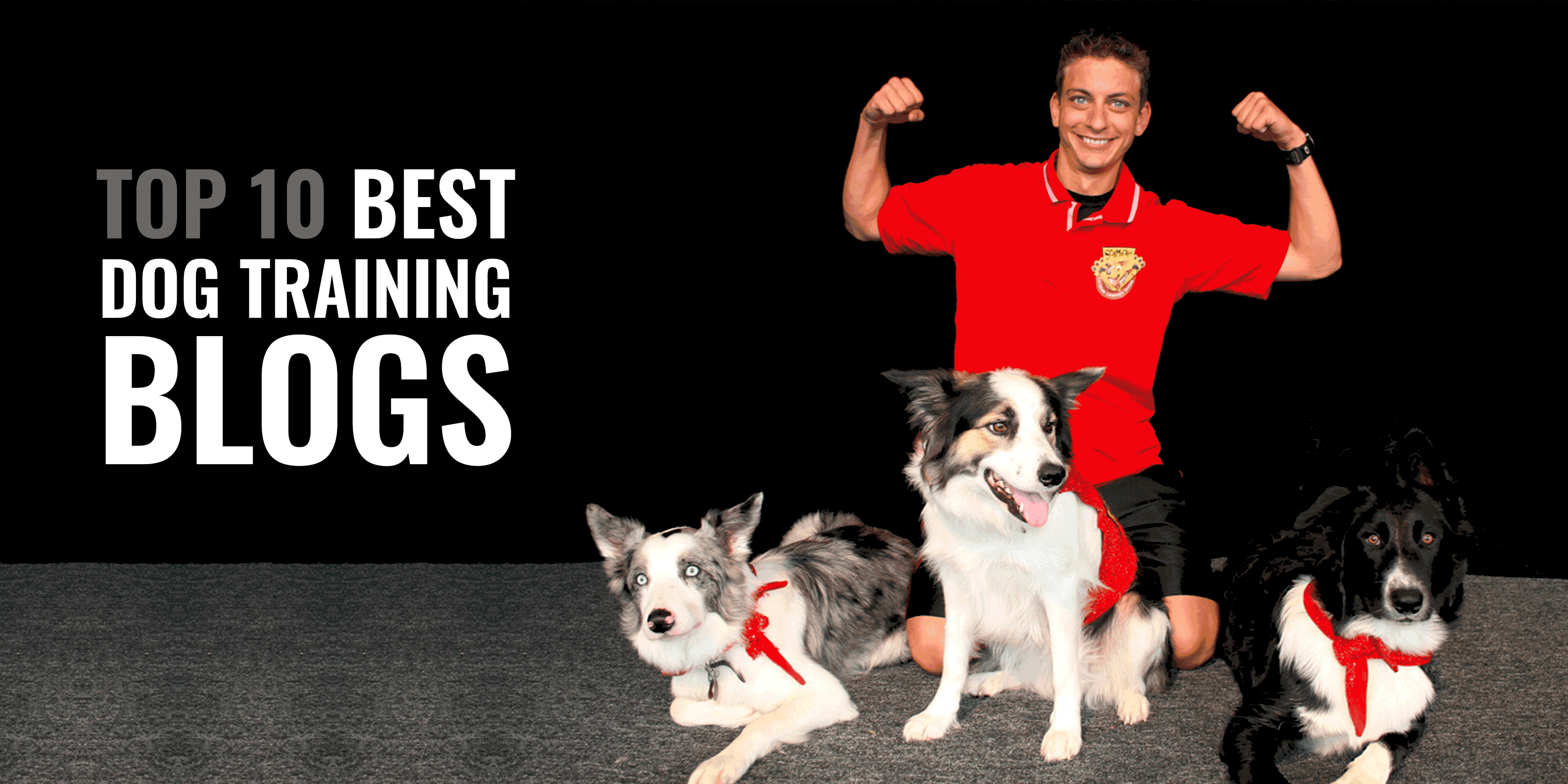 top rated dog training near me