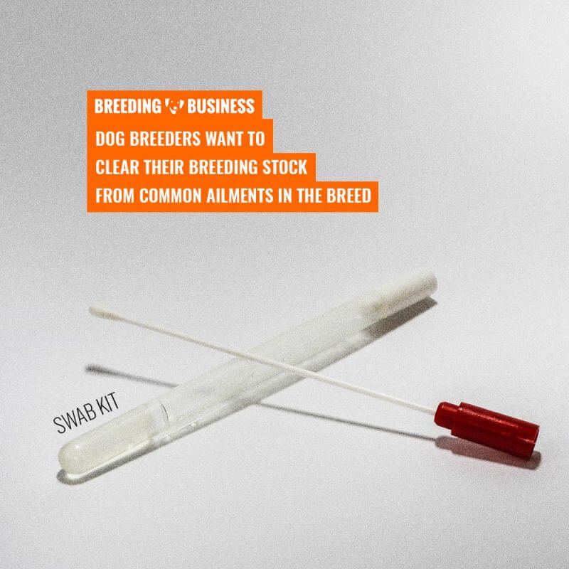 dog dna test swab kit (for dog breeders)