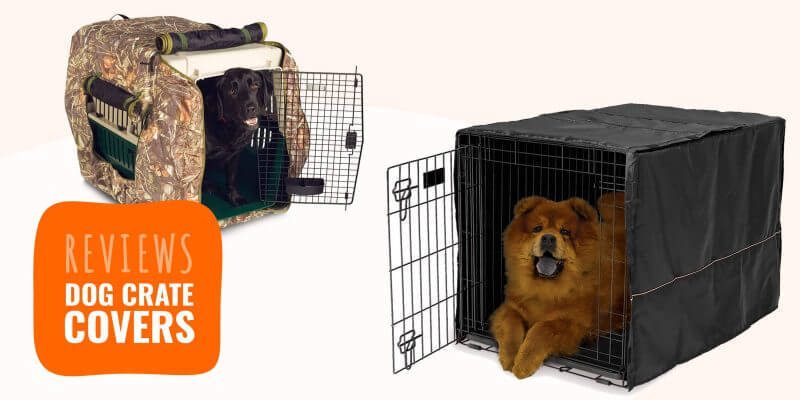 buy dog crates cheap