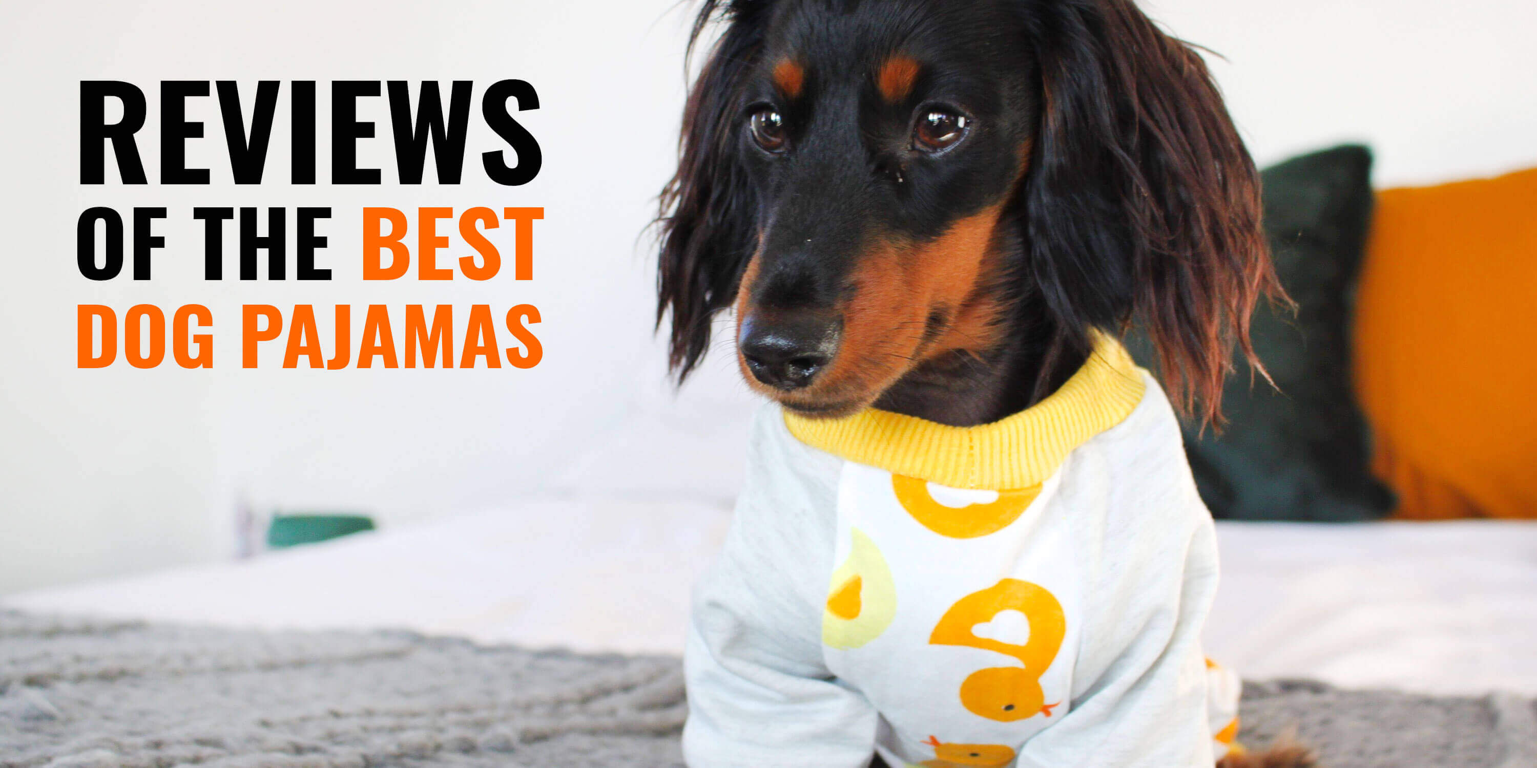 best dog pajamas