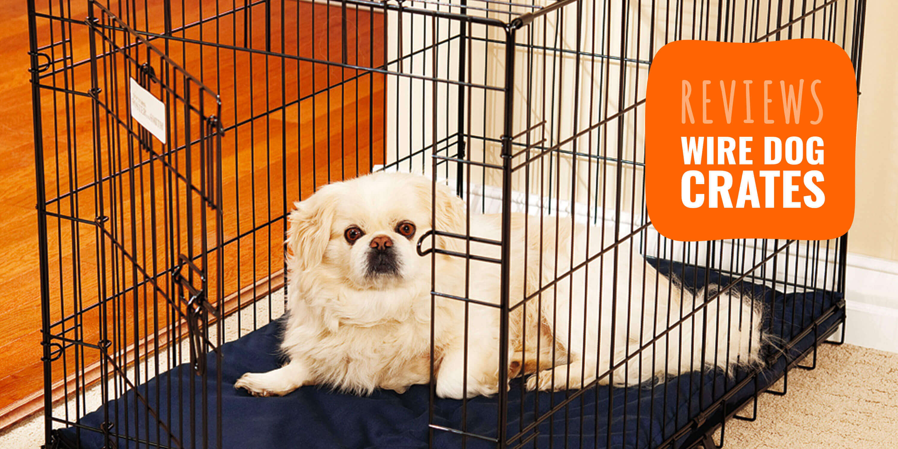 10 Best Wire Dog Crates – Reviews 